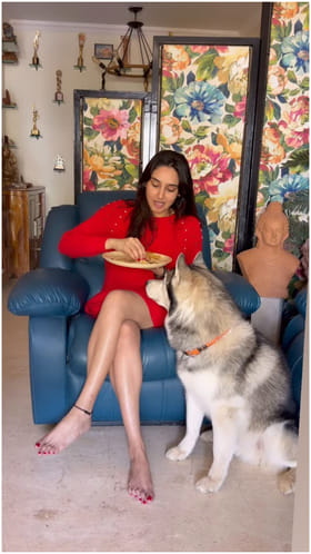 ನಾಯಿಗೆ ನವರಾತ್ರಿ ಪ್ರಸಾದ ತಿನಿಸಿದ ರಾಗಿಣಿ