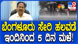 ಸೇತುವೆಯಿಂದ ಹಳ್ಳಕ್ಕೆ ಬಿದ್ದ ಬಸ್‌: ಪ್ರಯಾಣಿಕರು ಬದುಕುಳಿದಿದ್ದೇ ಪವಾಡ