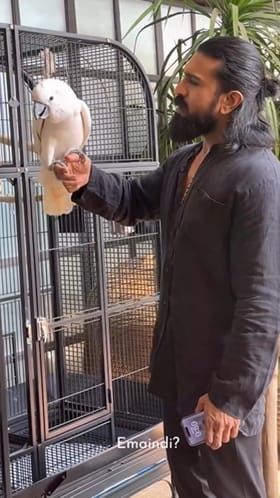 ಸಾಕಿದ ಹಕ್ಕಿಯೊಂದಿಗೆ ರಾಮ್ ಚರಣ್ ಮಾತುಕತೆ: ವಿಡಿಯೋ