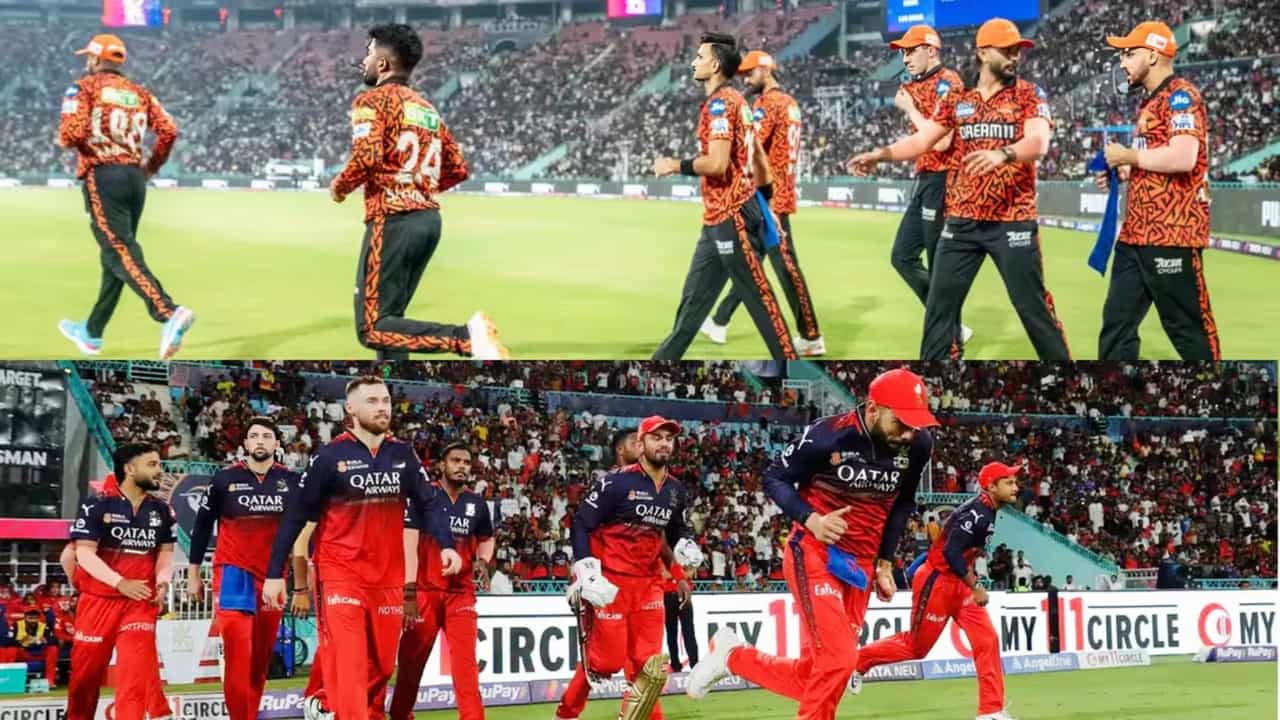 RCB vs SRH: ಅಂಕಿ ಅಂಶಗಳ ಪ್ರಕಾರ ಯಾರು ಬಲಿಷ್ಠ?