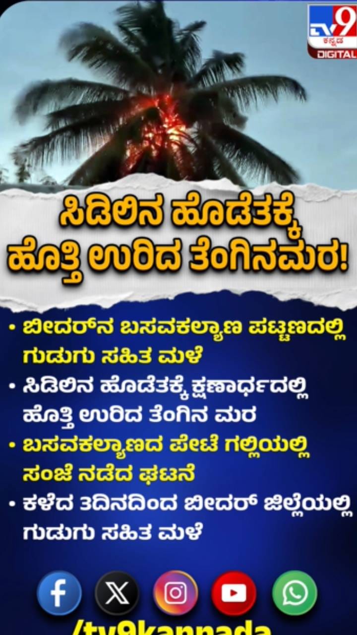 ಸಿಡಿಲು ಹೊಡೆದು ಹೊತ್ತಿ ಉರಿದ ತೆಂಗಿನ ಮರ