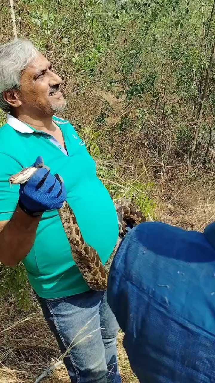 ಅಬ್ಬಬ್ಬಾ! ನಾಲೆಯಲ್ಲಿ ಬಿದ್ದ ಹೆಬ್ಬಾವನ್ನು ಹೇಗೆ ಬಚಾವ್ ಮಾಡಿದ್ರು ನೋಡಿ!