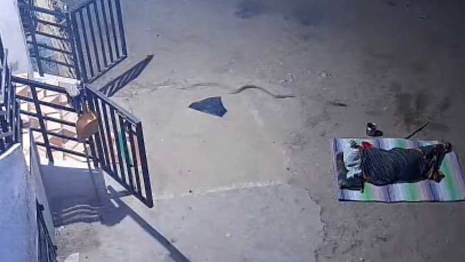 ಮನೆಯ ಅಂಗಳದಲ್ಲಿ ಮಲಗಿದ್ದ ವೃದ್ಧೆಗೆ ಕಡಿದೇ ಬಿಡ್ತು ಹಾವು!