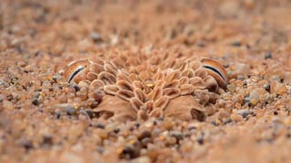 Viral: ಬೆಂಗಳೂರಿನಲ್ಲಿ ಎರಡು ತಿಂಗಳ ಇಂಟರ್ನ್‌ಶಿಪ್‌ ಅವಧಿಯಲ್ಲಿ ಆದ ಖರ್ಚು ವೆಚ್ಚ ವಿವರಿಸಿದ ಯುವತಿ