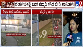 ಅಪಾರ್ಟ್​ಮೆಂಟ್ ನಿವಾಸಿಗಳಿಗೆ ಬೀದಿ ನಾಯಿಗಳ ಕಾಟ