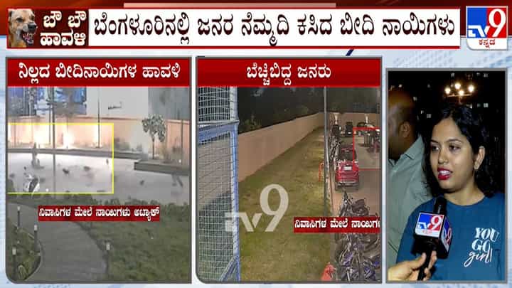 ಅಪಾರ್ಟ್ಮೆಂಟ್ ನಿವಾಸಿಗಳಿಗೆ ಬೀದಿ ನಾಯಿಗಳ ಕಾಟ: ಮಕ್ಕಳು, ವೃದ್ಧರ ಮೇಲೆ ಮನಸೋ ಇಚ್ಛೆ ದಾಳಿ ಅಪಾರ್ಟ್ಮೆಂಟ್ ನಿವಾಸಿಗಳಿಗೆ ಬೀದಿ ನಾಯಿಗಳ ಕಾಟ: ಮಕ್ಕಳು, ವೃದ್ಧರ ಮೇಲೆ ಮನಸೋ ಇಚ್ಛೆ ದಾಳಿ