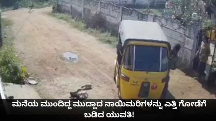 ಮನೆಯ ಮುಂದಿದ್ದ ಮುದ್ದಾದ ನಾಯಿಮರಿಗಳನ್ನು ಎತ್ತಿ ಗೋಡೆಗೆ ಬಡಿದ ಯುವತಿ; ಶಾಕಿಂಗ್ ವಿಡಿಯೋ ನೋಡಿ ಮನೆಯ ಮುಂದಿದ್ದ ಮುದ್ದಾದ ನಾಯಿಮರಿಗಳನ್ನು ಎತ್ತಿ ಗೋಡೆಗೆ ಬಡಿದ ಯುವತಿ; ಶಾಕಿಂಗ್ ವಿಡಿಯೋ ನೋಡಿ