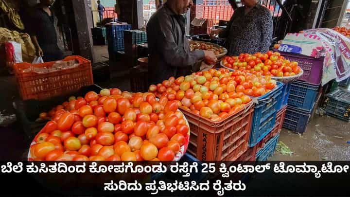 ಬೆಲೆ ಕುಸಿತದಿಂದ ಕೋಪಗೊಂಡು ರಸ್ತೆಗೆ 25 ಕ್ವಿಂಟಾಲ್ ಟೊಮ್ಯಾಟೋ ಸುರಿದು ಪ್ರತಿಭಟಿಸಿದ ರೈತರು ಬೆಲೆ ಕುಸಿತದಿಂದ ಕೋಪಗೊಂಡು ರಸ್ತೆಗೆ 25 ಕ್ವಿಂಟಾಲ್ ಟೊಮ್ಯಾಟೋ ಸುರಿದು ಪ್ರತಿಭಟಿಸಿದ ರೈತರು