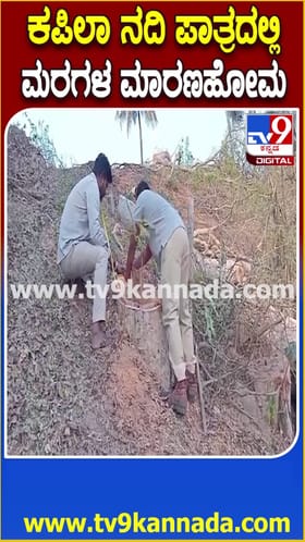 ಕಪಿಲಾ ನದಿ ಪಾತ್ರದಲ್ಲಿ ಬೃಹತ್ ಮರಗಳ ಮಾರಣಹೋಮ