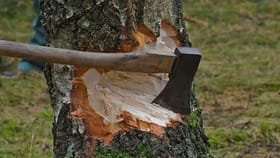 ಸಾವಿರಾರು ಮರಗಳ ಮಾರಣಹೋಮಕ್ಕೆ ಸಜ್ಜಾದ ಸರ್ಕಾರ?: ತೀವ್ರ ವಿರೋಧ