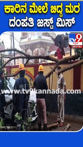 ಮಳೆಗೆ ಕಾರಿನ ಮೇಲೆ ಉರುಳಿದ ಮರ: ದಂಪತಿ ಬಚಾವ್‌!