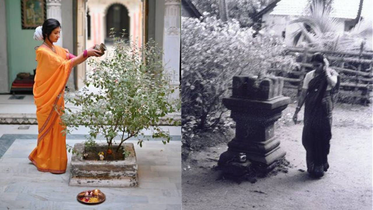 ತುಳಸಿ ಕಟ್ಟೆಗೆ ಎಷ್ಟು ಪ್ರದಕ್ಷಿಣೆ ಹಾಕಬೇಕು? ಪ್ರತೀ ಸುತ್ತಿನ ಹಿಂದಿನ ಮಹತ್ವ ಇಲ್ಲಿ ತಿಳಿಯಿರಿ ತುಳಸಿ ಕಟ್ಟೆಗೆ ಎಷ್ಟು ಪ್ರದಕ್ಷಿಣೆ ಹಾಕಬೇಕು? ಪ್ರತೀ ಸುತ್ತಿನ ಹಿಂದಿನ ಮಹತ್ವ ಇಲ್ಲಿ ತಿಳಿಯಿರಿ