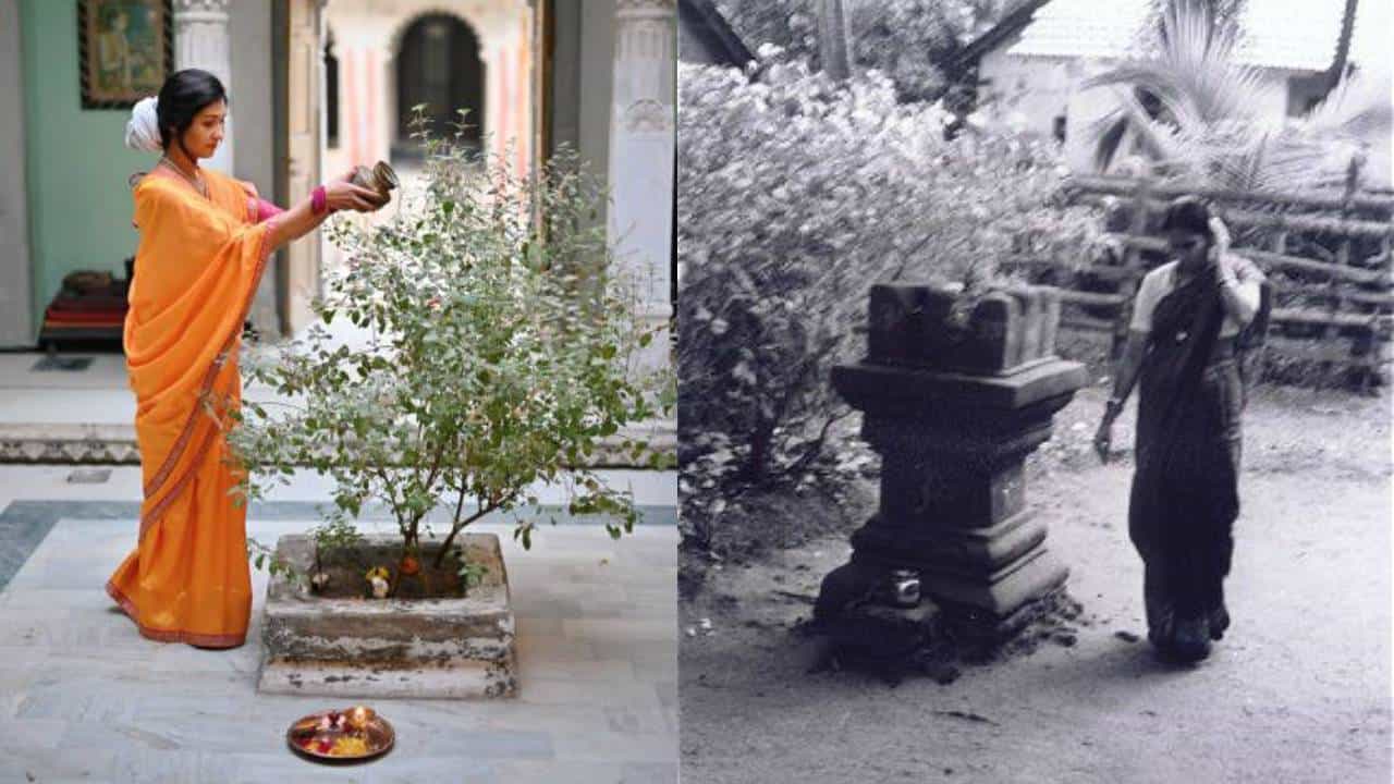 ತುಳಸಿ ಕಟ್ಟೆಗೆ ಎಷ್ಟು ಪ್ರದಕ್ಷಿಣೆ ಹಾಕಬೇಕು? ಪ್ರತೀ ಸುತ್ತಿನ ಹಿಂದಿನ ಮಹತ್ವ ಇಲ್ಲಿ ತಿಳಿಯಿರಿ ತುಳಸಿ ಕಟ್ಟೆಗೆ ಎಷ್ಟು ಪ್ರದಕ್ಷಿಣೆ ಹಾಕಬೇಕು? ಪ್ರತೀ ಸುತ್ತಿನ ಹಿಂದಿನ ಮಹತ್ವ ಇಲ್ಲಿ ತಿಳಿಯಿರಿ
