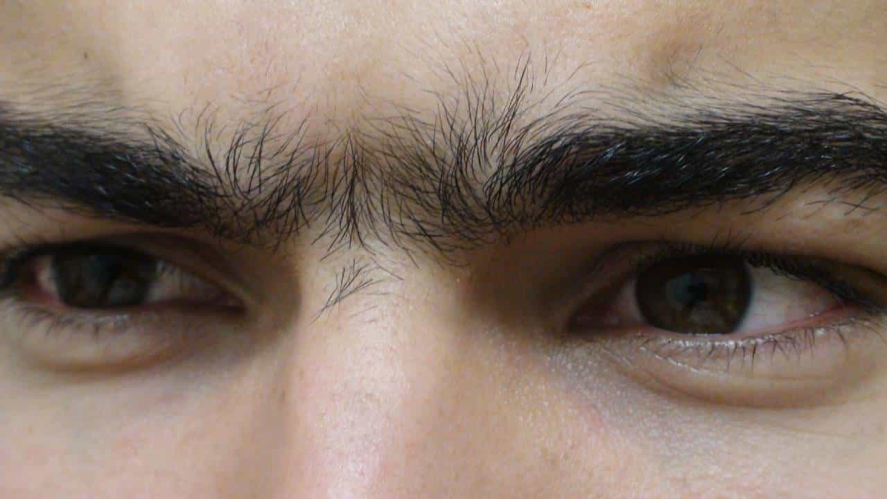 Unibrow Astrology: ಎರಡು ಹುಬ್ಬುಗಳು ಪರಸ್ಪರ ಸಂಧಿಸಿದ್ದರೆ ಅಶುಭವೇ? ಶಾಸ್ತ್ರಗಳು ಹೇಳುವುದೇನು? Unibrow Astrology: ಎರಡು ಹುಬ್ಬುಗಳು ಪರಸ್ಪರ ಸಂಧಿಸಿದ್ದರೆ ಅಶುಭವೇ? ಶಾಸ್ತ್ರಗಳು ಹೇಳುವುದೇನು?