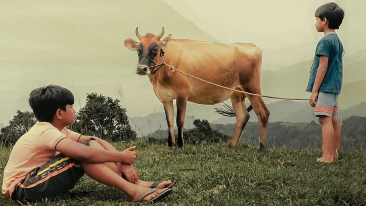 ಚಿತ್ರಮಂದಿರದಲ್ಲಿ ಬಿಡುಗಡೆ ಆಗಿ ಭಾರಿ ಪ್ರಶಂಸೆ ಗಳಿಸಿದ್ದ ‘ವಲವಾರ’ ಸಿನಿಮಾ ಇದೀಗ ಒಟಿಟಿಗೆ ಬಂದಿದೆ. ಇಬ್ಬರು ಮಕ್ಕಳು ಮತ್ತು ಹಸುವಿನ ಸುತ್ತ ನಡೆಯುವ ಈ ಕತೆ ಸಾಕಷ್ಟು ಪ್ರಶಂಸೆಗೆ ಪಾತ್ರವಾಗಿತ್ತು. ಇದೀಗ ಈ ಸಿನಿಮಾವನ್ನು ಸನ್​​ನೆಕ್ಸ್ಟ್​​ನಲ್ಲಿ ವೀಕ್ಷಿಸಬಹುದು.