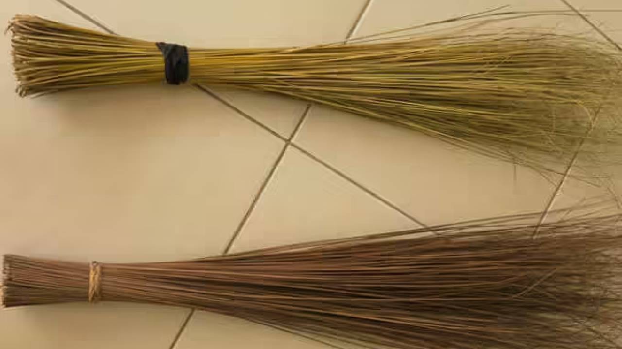 Vastu Broom Placement: ಮನೆಯಲ್ಲಿ ಪೊರಕೆಯನ್ನು ಈ ದಿಕ್ಕಿನಲ್ಲಿ ಇಡಲೇಬೇಡಿ; ಅಪಾಯ ತಪ್ಪಿದ್ದಲ್ಲ!