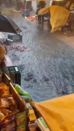 ಧಾರಾಕಾರ ಮಳೆಗೆ ಕೊಚ್ಚಿಹೋದ ತರಕಾರಿ