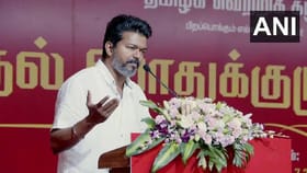 ತಮಿಳುನಾಡು ಚುನಾವಣೆ: ಎರಡು ಕ್ಷೇತ್ರಗಳಲ್ಲಿ ದಳಪತಿ ವಿಜಯ್ ಸ್ಪರ್ಧೆ