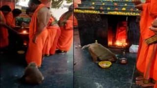 ಜೈಲುಪಾಲಾಗಿರುವ ಪುತ್ರ ಪ್ರಜ್ವಲ್ ಗಾಗಿ ತಂದೆ ರೇವಣ್ಣ ವಿಶೇಷ ಪೂಜೆ