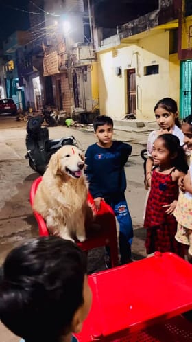 ಪುಟಾಣಿ ಫ್ರೆಂಡ್ಸ್‌ ಜೊತೆ ಬರ್ತ್‌ಡೇ ಸೆಲೆಬ್ರೇಟ್‌ ಮಾಡಿದ ಶ್ವಾನ