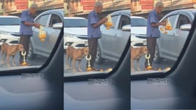 ದುಡಿಮೆಯಲ್ಲಿ ಖುಷಿ ಕಾಣುವ ಹಿರಿ ಜೀವಕ್ಕೆ ಹೆಗಲಾದ ಶ್ವಾನ