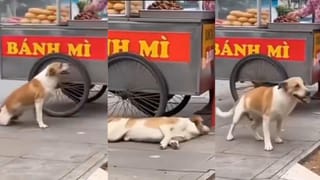 Video: ನೆಮ್ಮದಿಯಿಂದ ಚಹಾ ಕುಡಿಯಲು ಆಗ್ತಾ ಇಲ್ಲ; ಕಂದಮ್ಮನ ಆರೈಕೆಯನ್ನು ನೆನೆದು ಭಾವುಕಳಾದ ತಾಯಿ