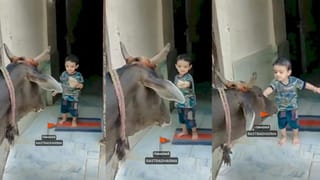 Video: ಮನೆ ಮುಂದೆ ಬಂದು ನಿಂತ ಹಸುವಿನ ಹಸಿವು ನೀಗಿಸಿದ ಪುಟಾಣಿ