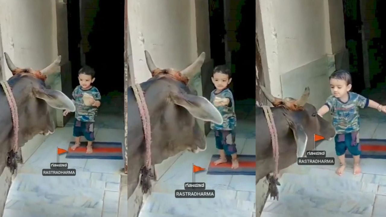 Video: ಮನೆ ಮುಂದೆ ಬಂದು ನಿಂತ ಹಸುವಿನ ಹಸಿವು ನೀಗಿಸಿದ ಪುಟಾಣಿ Video: ಮನೆ ಮುಂದೆ ಬಂದು ನಿಂತ ಹಸುವಿನ ಹಸಿವು ನೀಗಿಸಿದ ಪುಟಾಣಿ