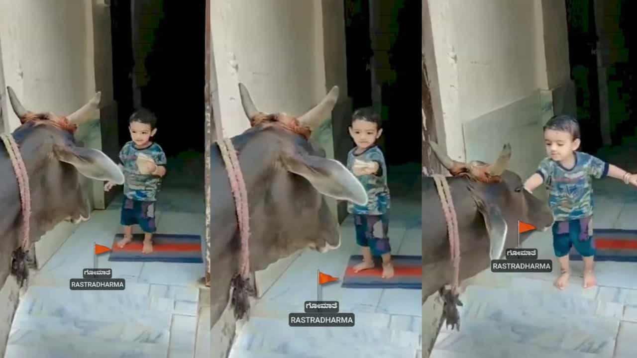 Video: ಮನೆ ಮುಂದೆ ಬಂದು ನಿಂತ ಹಸುವಿನ ಹಸಿವು ನೀಗಿಸಿದ ಪುಟಾಣಿ Video: ಮನೆ ಮುಂದೆ ಬಂದು ನಿಂತ ಹಸುವಿನ ಹಸಿವು ನೀಗಿಸಿದ ಪುಟಾಣಿ