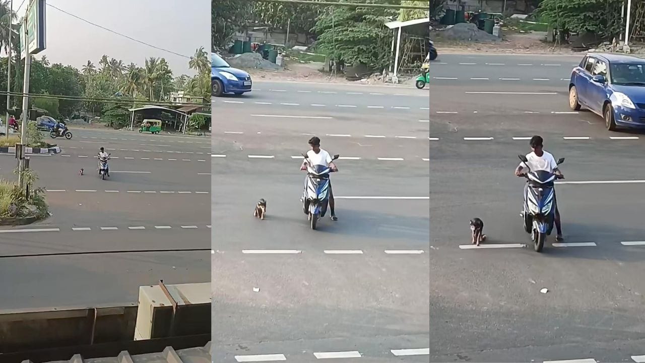 Video: ಕಾಲೆರಡು ಸ್ವಾಧೀನ ಕಳೆದುಕೊಂಡ ಶ್ವಾನಕ್ಕೆ ರಸ್ತೆ ದಾಟಲು ನೆರವಾದ ವ್ಯಕ್ತಿ