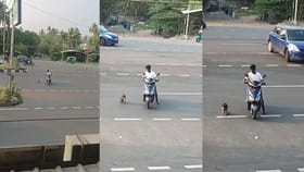 ಕಾಲೆರಡು ಸ್ವಾಧೀನ ಕಳೆದುಕೊಂಡ ಶ್ವಾನಕ್ಕೆ ರಸ್ತೆ ದಾಟಲು ನೆರವಾದ ವ್ಯಕ್ತಿ