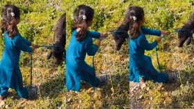 ಹಠ ಮಾಡಿದ ಎಮ್ಮೆ ಕರುವಿಗೆ ಸವಾಲು ಹಾಕಿದ ಪುಟ್ಟ ಹುಡುಗಿ