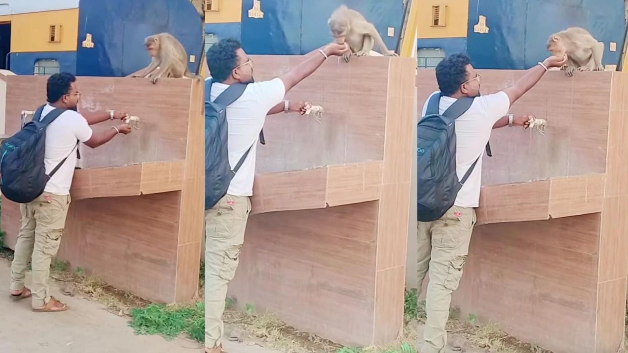 Video: ಬಾಯಾರಿದ ಮಂಗಕ್ಕೆ ನೀರು ಕುಡಿಸಿ ಮಾನವೀಯತೆ ಮೆರೆದ ಯುವಕ