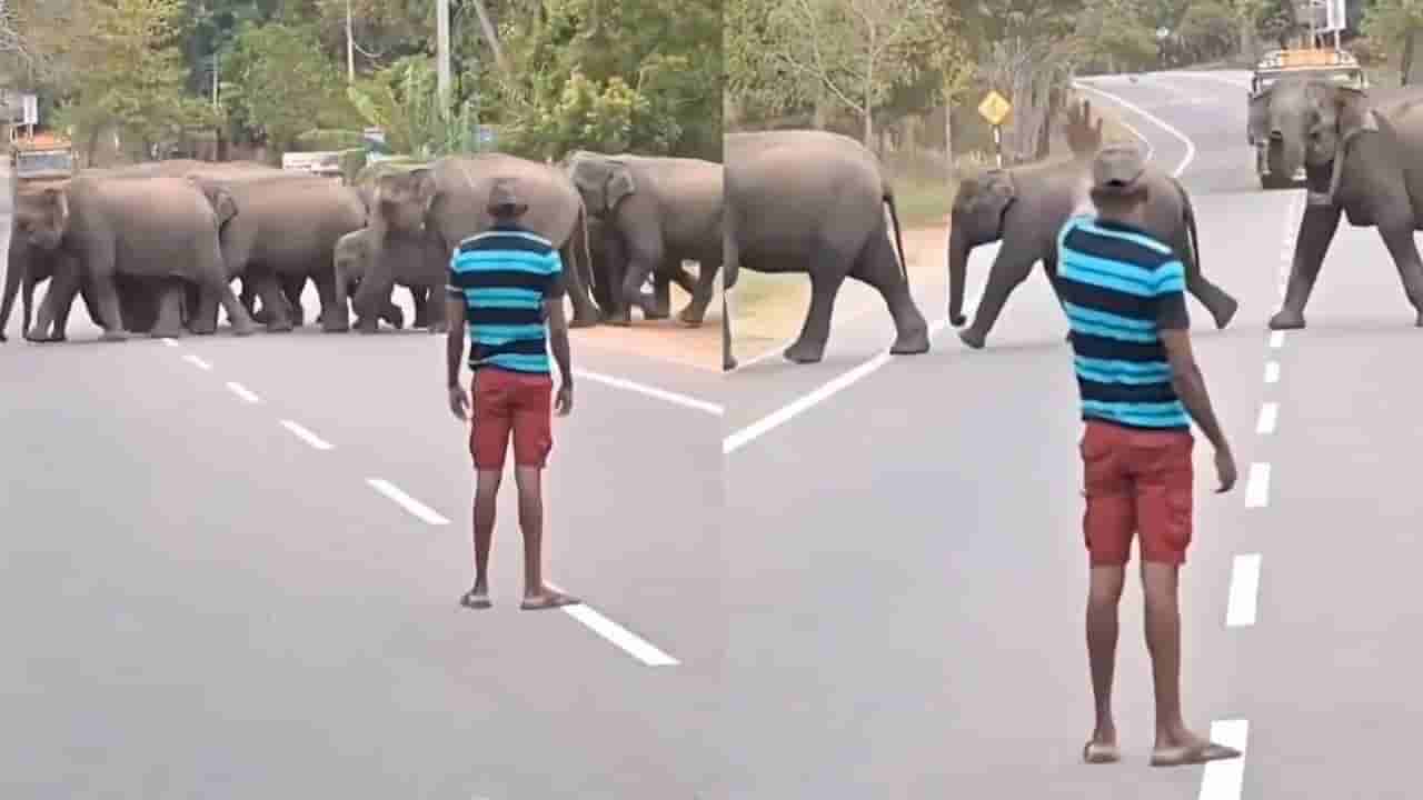 Video: ರಸ್ತೆ ದಾಟಲು ಸಹಾಯ ಮಾಡಿದ ವ್ಯಕ್ತಿಗೆ ಸೊಂಡಿಲೆತ್ತಿ ಧನ್ಯವಾದ ತಿಳಿಸಿದ ಆನೆಗಳ ಹಿಂಡು