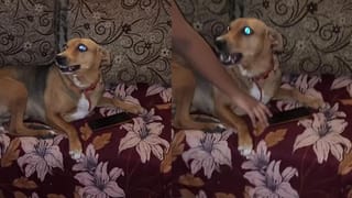 Video: ಸ್ಕೂಲ್ ಅಸೆಂಬ್ಲಿಯಲ್ಲಿ ಕಣ್ಣು ಮುಚ್ಚಿಕೊಂಡೇ ಲಾಲಿ ಪಾಪ್ ಸವಿಯುತ್ತಾ ನಿಂತ ಪುಟಾಣಿ