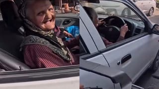 Video: ಬಣ್ಣದಲ್ಲಿ ಮಿಂದೆದ್ದ ಕೋತಿಗಳು, ವೈರಲ್ ಆಯ್ತು ದೃಶ್ಯ