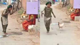 ಪುಟ್ಟ ಹುಡುಗಿಯನ್ನು ಅಟ್ಟಾಡಿಸಿಕೊಂಡು ಹೋದ ಹುಂಜ, ಕಾರಣ ಇದೇ ನೋಡಿ