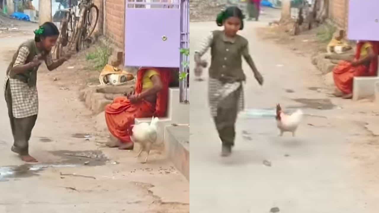 Video: ತನ್ನ ಮುಂದೆ ಡ್ಯಾನ್ಸ್ ಮಾಡ್ತಿದ್ದ ಪುಟ್ಟ ಹುಡುಗಿಯನ್ನು ಅಟ್ಟಾಡಿಸಿಕೊಂಡು ಹೋದ ಹುಂಜ