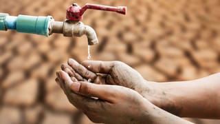 ತನ್ನ ಖಾಸಗಿ ಅಂಗದಲ್ಲಿ ತಂಬಾಕು, ಸಿಮ್ ಕಾರ್ಡ್​ ತಂದು ಜೈಲಿನಲ್ಲಿ ಸ್ಮಗ್ಲಿಂಗ್! ಯುವತಿ ಅಂದರ್