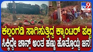 ಜಮ್ಮು ಕಾಶ್ಮೀರ: ಕುಣಿದು ಕುಪ್ಪಳಿಸಿ ಹೋಳಿ ಆಚರಿಸಿದ ಸಿಆರ್​ಪಿಎಫ್ ಯೋಧರು! ವಿಡಿಯೋ ನೋಡಿ