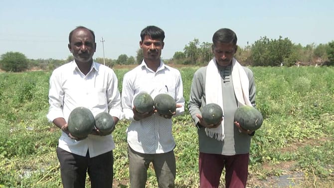 ಇರಾನ್ ಯುದ್ಧದ ಪರಿಣಾಮ ಬೀದರ್ ಕಲ್ಲಂಗಡಿಗೂ ಇಲ್ಲ ಬೆಲೆ!