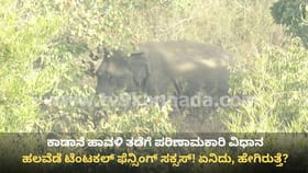 ಕಾಡಾನೆಗಳ ಉಪಟಳದಿಂದ ಪಾರು ಮಾಡುತ್ತೆ ಟೆಂಟಕಲ್ ಫೆನ್ಸಿಂಗ್: ಹೇಗೆ ಗೊತ್ತೇ?