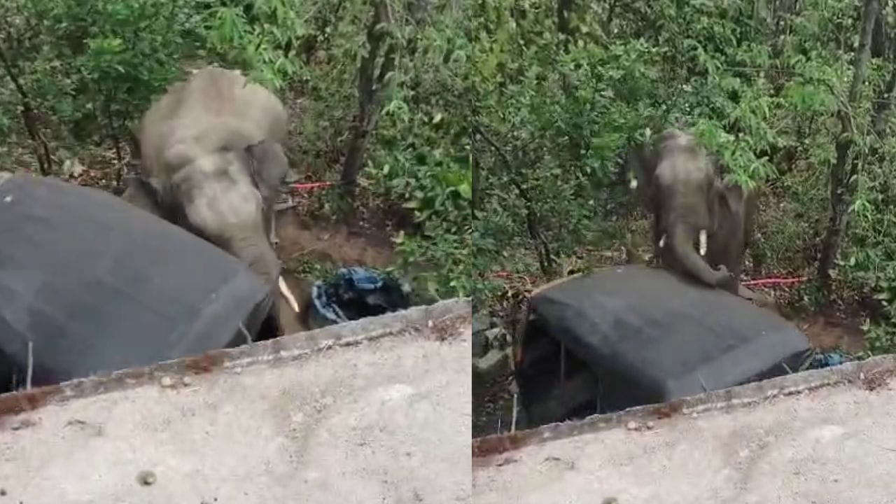 ಬೇಲೂರು: ಪಟಾಕಿ ಸಿಡಿಸಿದ್ದರಿಂದ ರೊಚ್ಚಿಗೆದ್ದ ಕಾಡಾನೆ ಮನೆ ಮುಂದೆ ನಿಲ್ಲಿಸಿದ್ದ ಆಟೋವನ್ನು ಮಾಡಿದ್ದೇನು ನೋಡಿ!