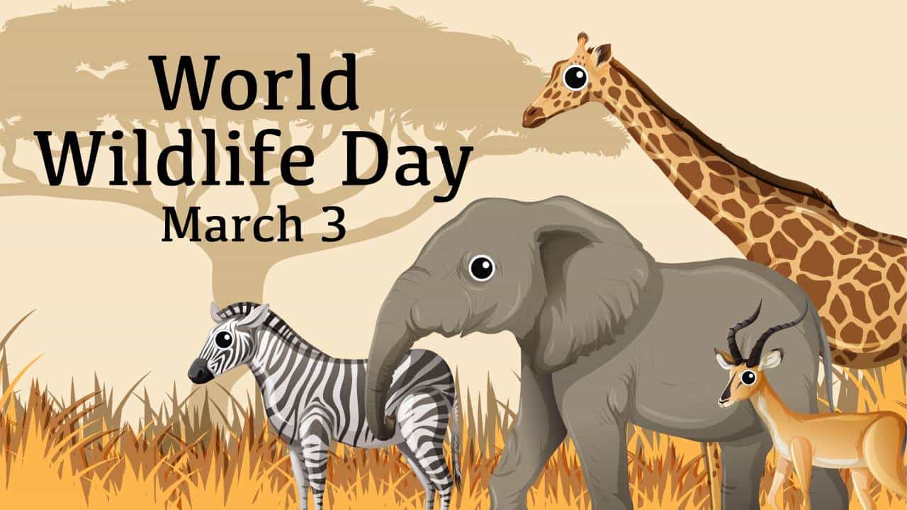 World Wildlife Day 2026: ನಮ್ಮಂತೆಯೇ ವನ್ಯಜೀವಿಗಳಿಗೂ ಸ್ವತಂತ್ರವಾಗಿ ಬದುಕುವ ಹಕ್ಕಿದೆ