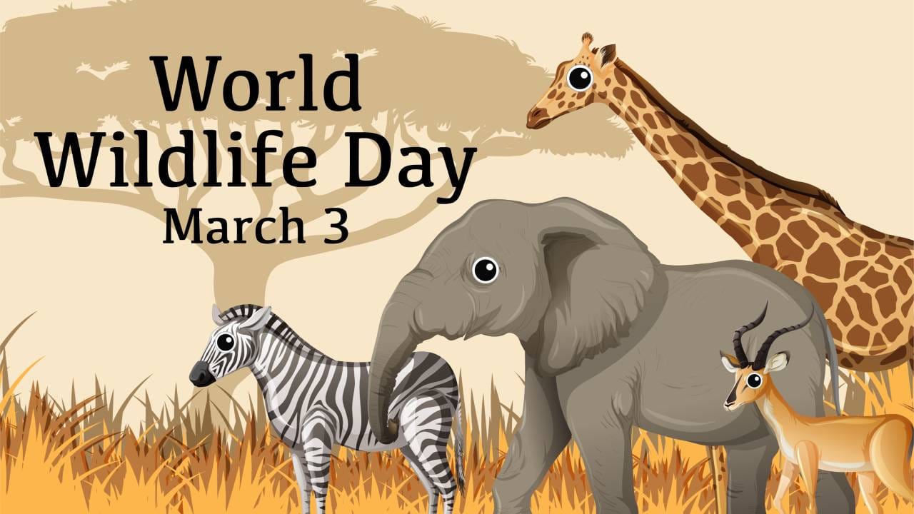 World Wildlife Day 2026: ನಮ್ಮಂತೆಯೇ ವನ್ಯಜೀವಿಗಳಿಗೂ ಸ್ವತಂತ್ರವಾಗಿ ಬದುಕುವ ಹಕ್ಕಿದೆ World Wildlife Day 2026: ನಮ್ಮಂತೆಯೇ ವನ್ಯಜೀವಿಗಳಿಗೂ ಸ್ವತಂತ್ರವಾಗಿ ಬದುಕುವ ಹಕ್ಕಿದೆ