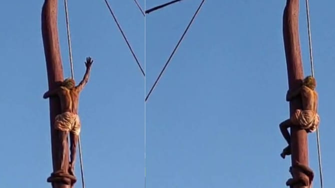 120 ಅಡಿ ಎತ್ತರದ ಹಾಲುಗಂಬ ಏರಿ ಸಾಹಸ ಮೆರೆದ 62ರ ವ್ಯಕ್ತಿ! ವಿಡಿಯೋ ನೋಡಿ