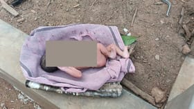 ಕಾಫಿ ತೋಟದಲ್ಲಿ ಅಡಿಕೆ ಹಾಳೆಯಲ್ಲಿ ಸುತ್ತಿಟ್ಟಿದ್ದ ನವಜಾತ ಶಿಶು ಪತ್ತೆ!