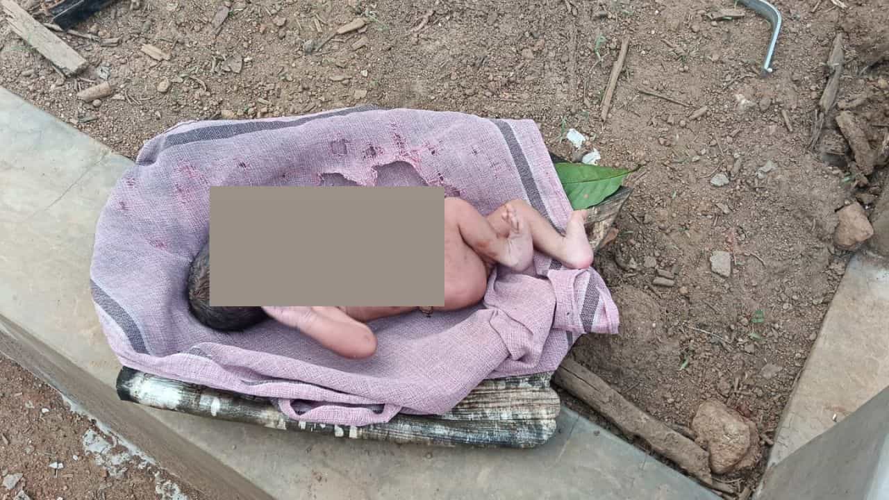ಅಮ್ಮನ ಮಡಿಲು ಸೇರಲು ಒದ್ದಾಡಿದ ಕಂದಮ್ಮ: ಕಾಫಿ ತೋಟದಲ್ಲಿ ನವಜಾತ ಶಿಶು ಪತ್ತೆ!