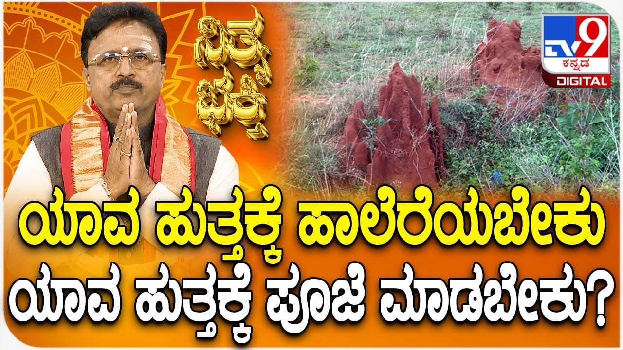 Daily Devotional: ಯಾವ ಹುತ್ತಕ್ಕೆ ಹಾಲೆರೆಯಬೇಕು, ಯಾವ ಹುತ್ತಕ್ಕೆ ಪೂಜೆ ಮಾಡಬೇಕು?