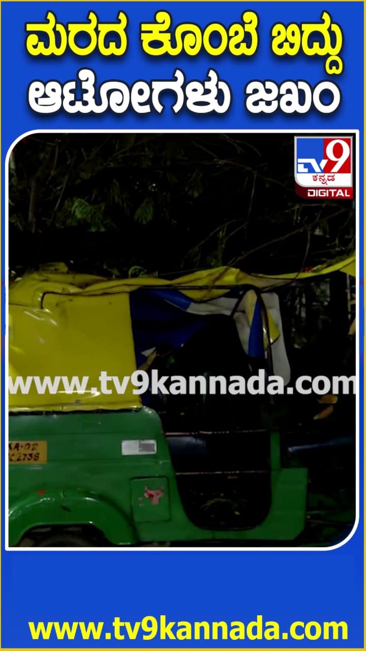ಮರದ ಕೊಂಬೆಗಳು ಬಿದ್ದು ಆಟೋಗಳು ಜಖಂ